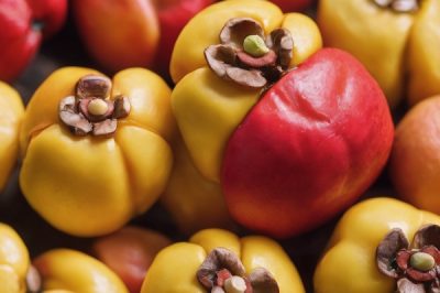 Can Rabbits Eat Ackee? Preparation & Quantity Tips, Safety & Nutritional Guide for Fruits (Ensure No Toxic Parts)