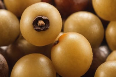 Can Rabbits Eat Longan? Diet, Safety & Nutritional Insights for Fruits
