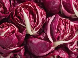 Can Rabbits Eat Radicchio Leaves? Nutritional Content, Safety & How to Prepare